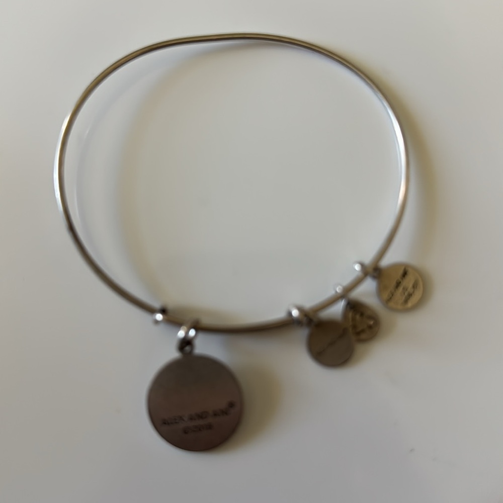 Alex & Ani NYC Charm - Picture 6 of 6
